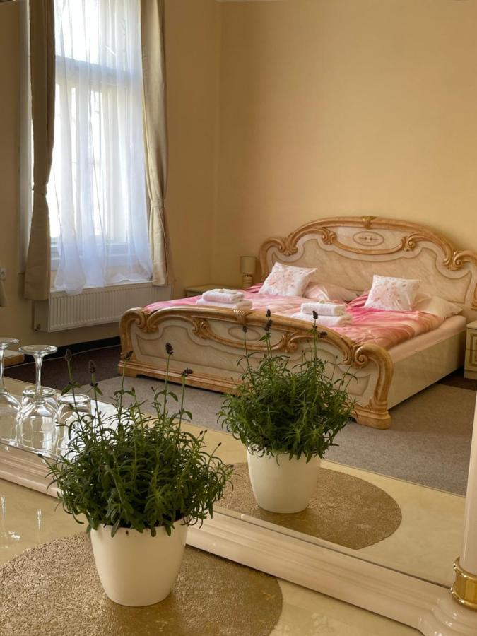 Apartmany Vila Tyniste Tyniste nad Orlici Extérieur photo