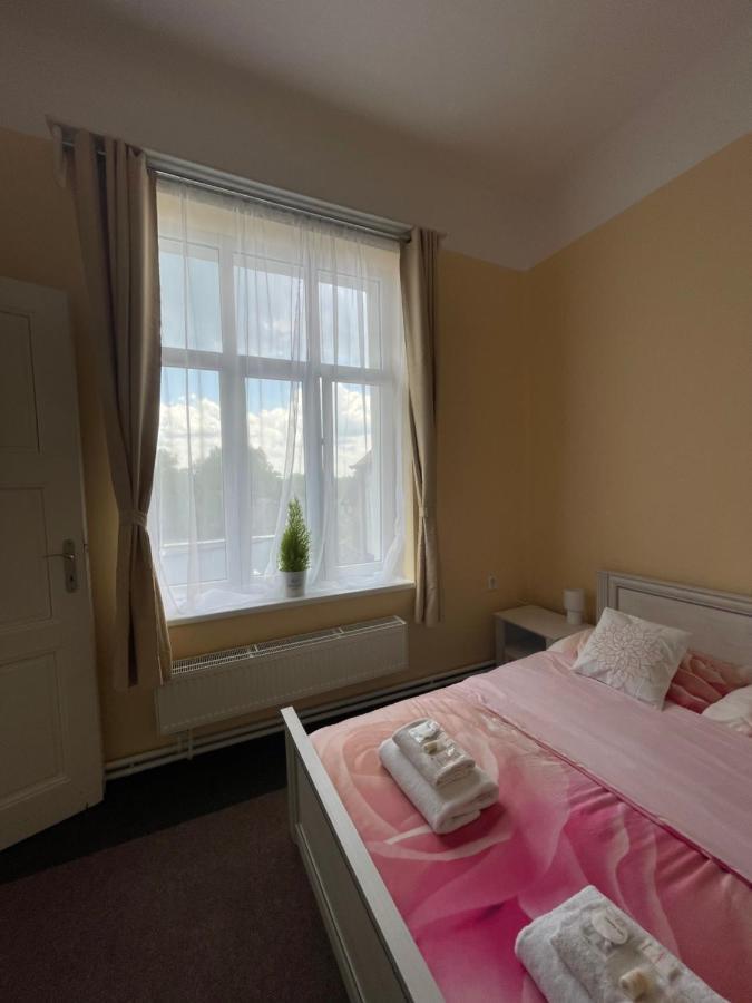 Apartmany Vila Tyniste Tyniste nad Orlici Extérieur photo