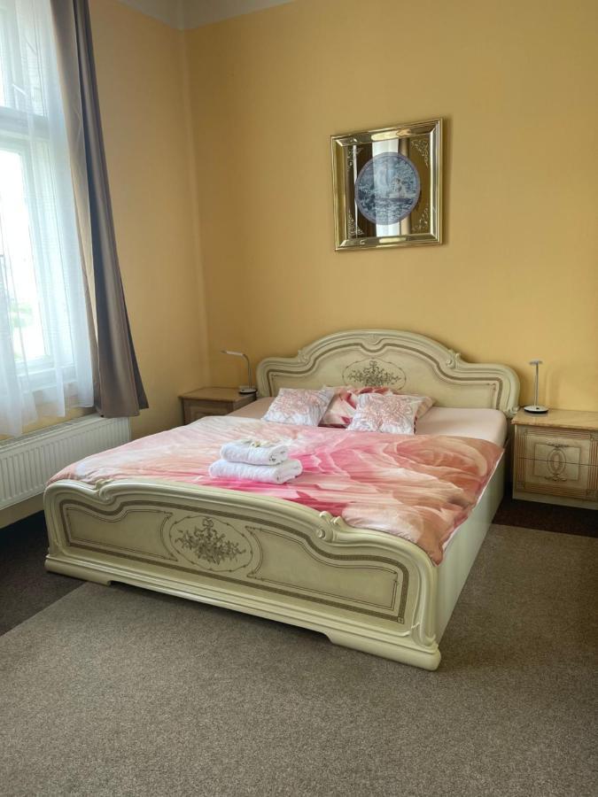 Apartmany Vila Tyniste Tyniste nad Orlici Extérieur photo